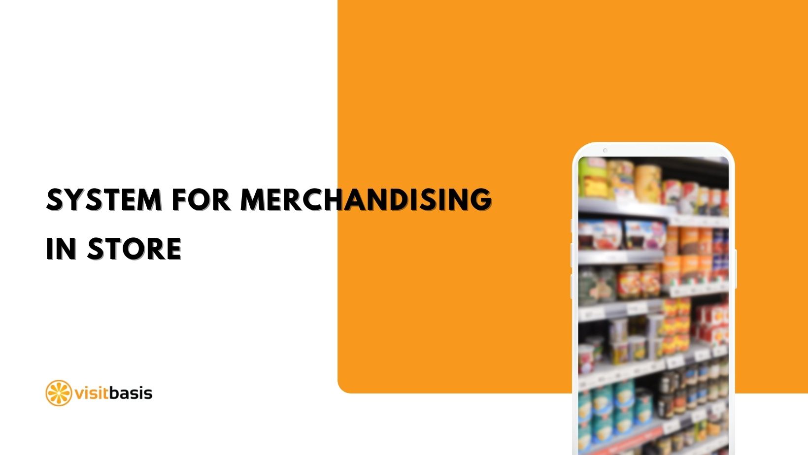 System for merchandising in store Retail execution software