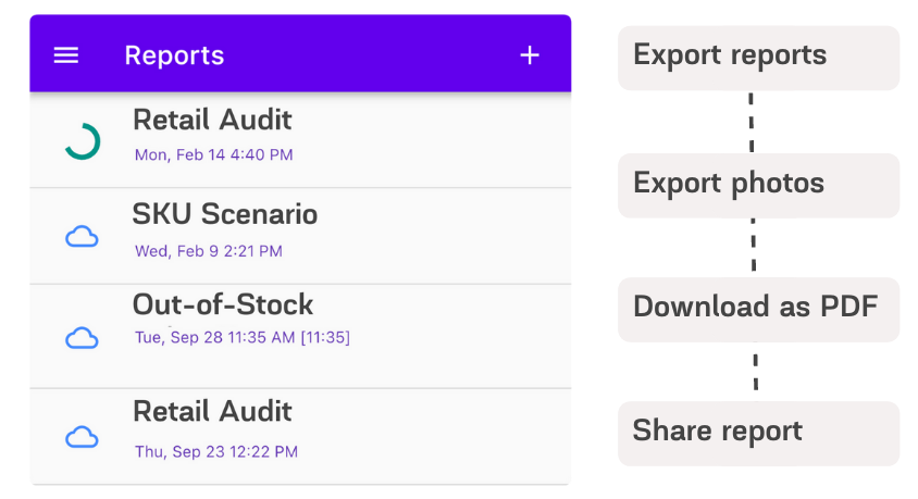 Retail audit reports