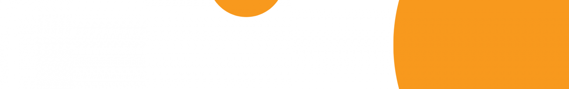 Retail execution software Retail execution software